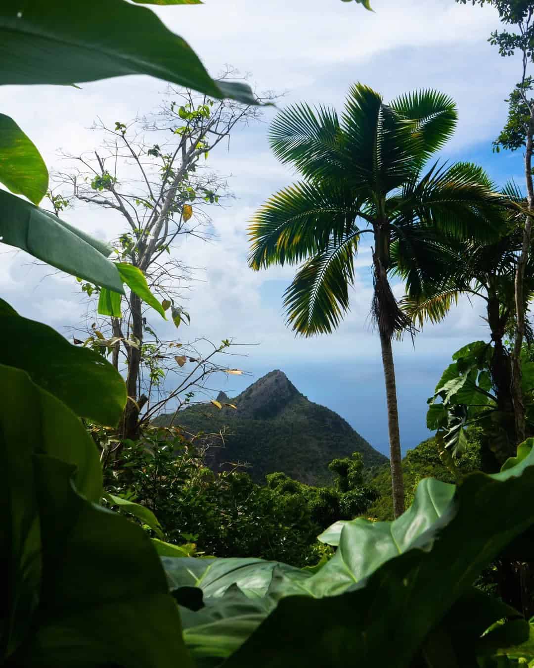 The Caribbean Islands