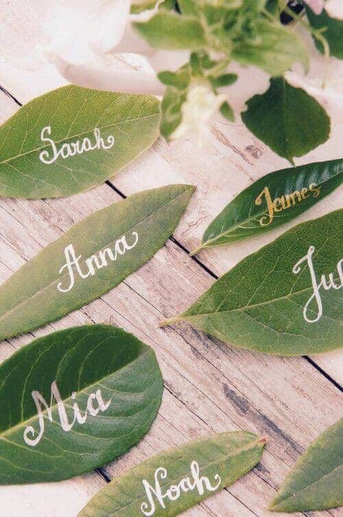 Leaf name holders