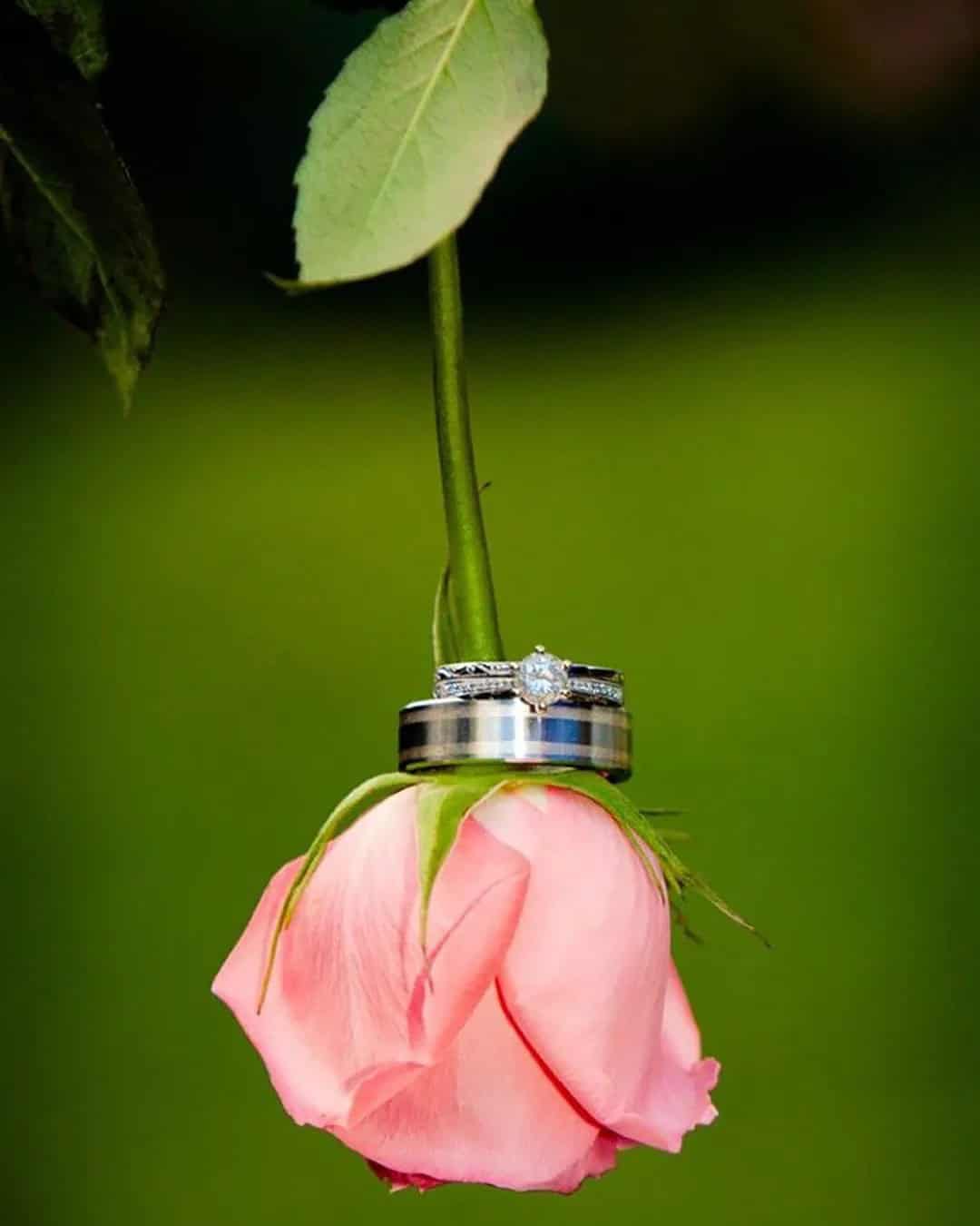 Creative Shots Of Wedding Rings Before The Ceremony