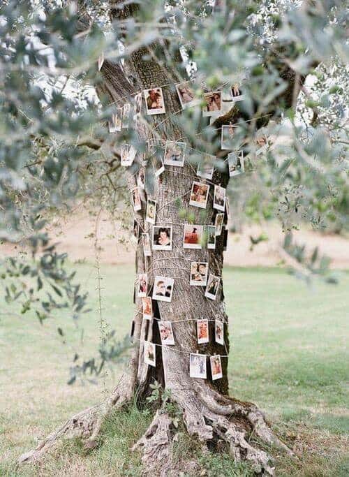 A picture tree