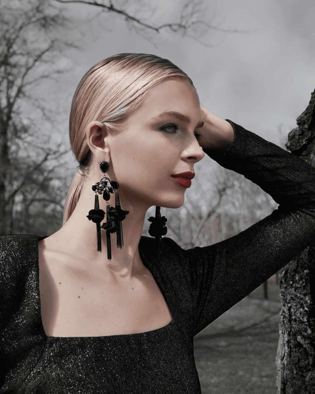 Gorgeous Black Earrings