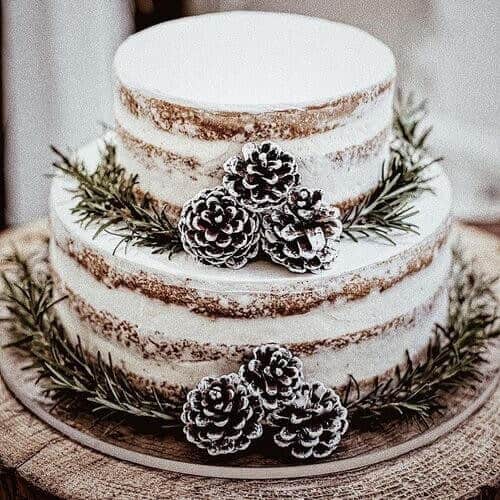 Naked cake with winter decor