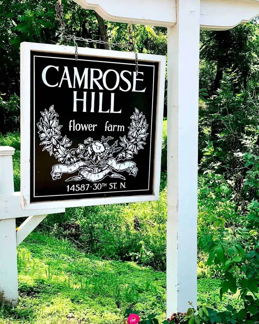 Camrose Hill Flower Farm