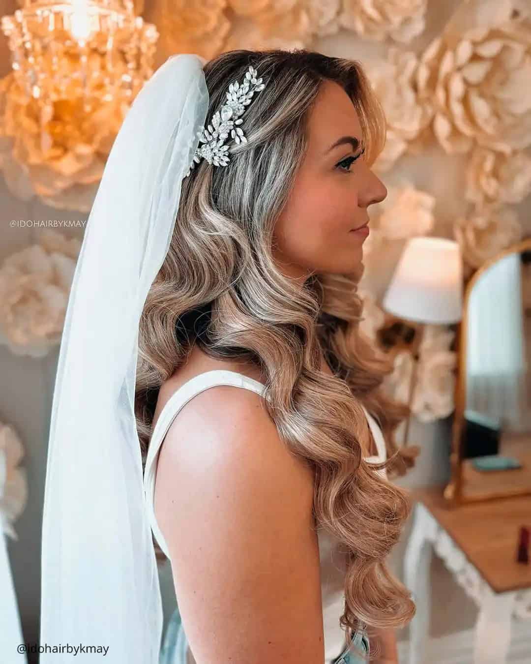 Wedding Hairstyles Down With Veil