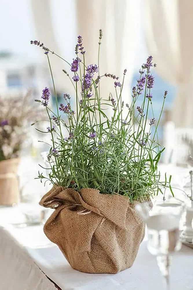 French Lavender Wedding Centerpiece