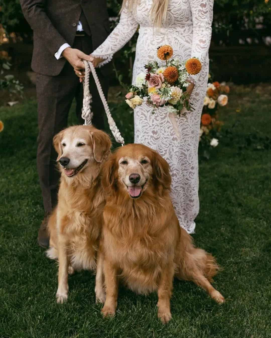 Unique Ring Bearer Ideas