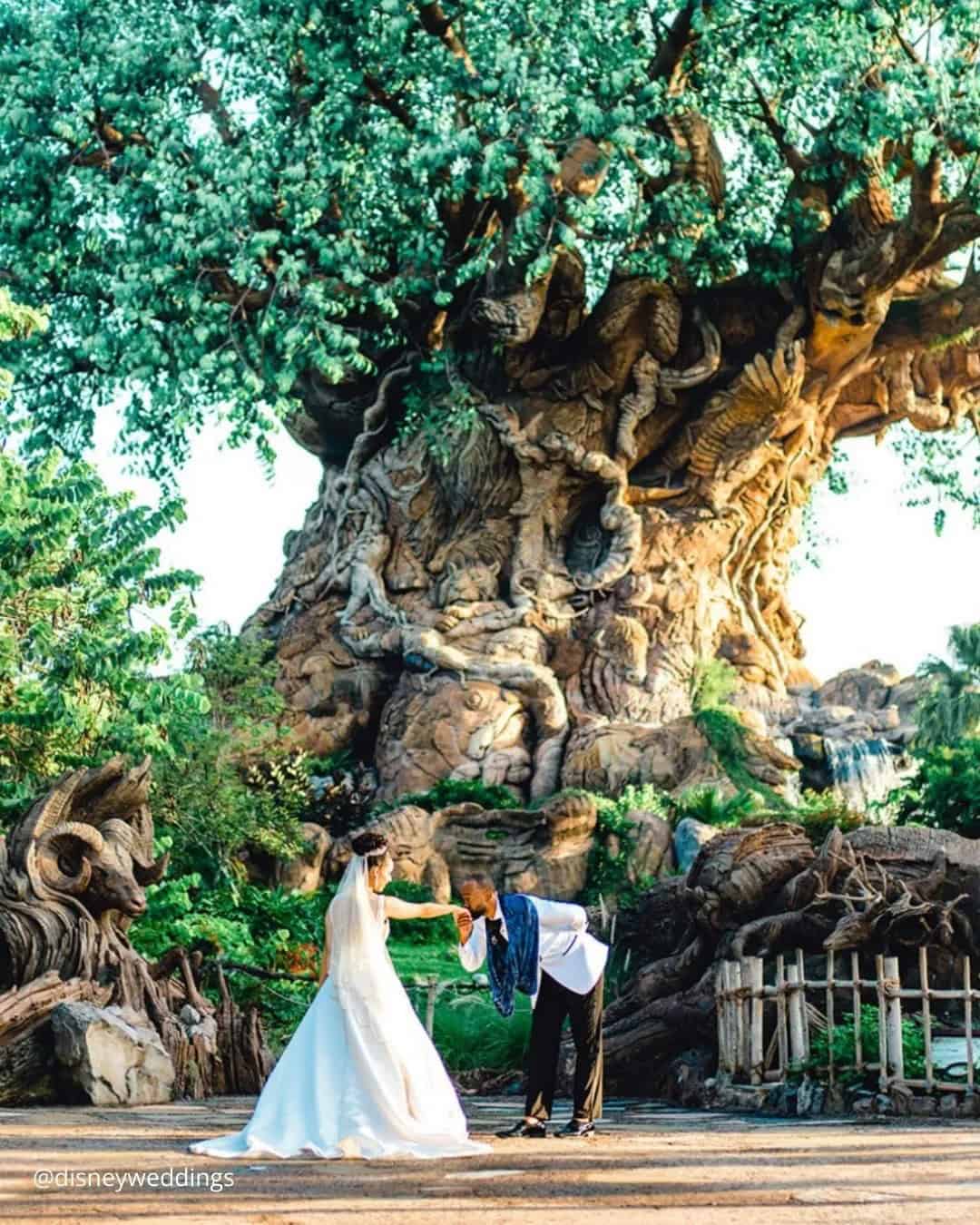 Disney Styled Wedding Shots