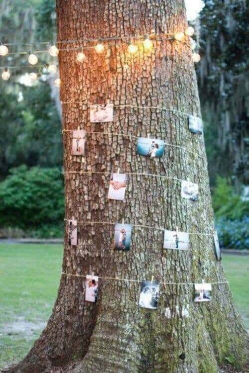 Photographs and memory tree