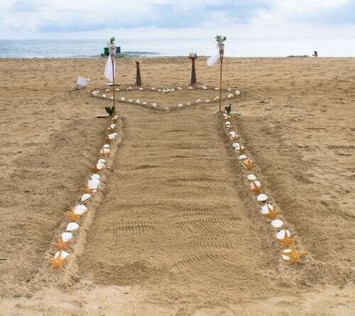 Seashells and Starfishes Aisle