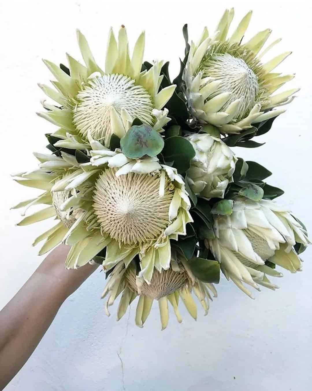 White Single Bloom Wedding Bouquets