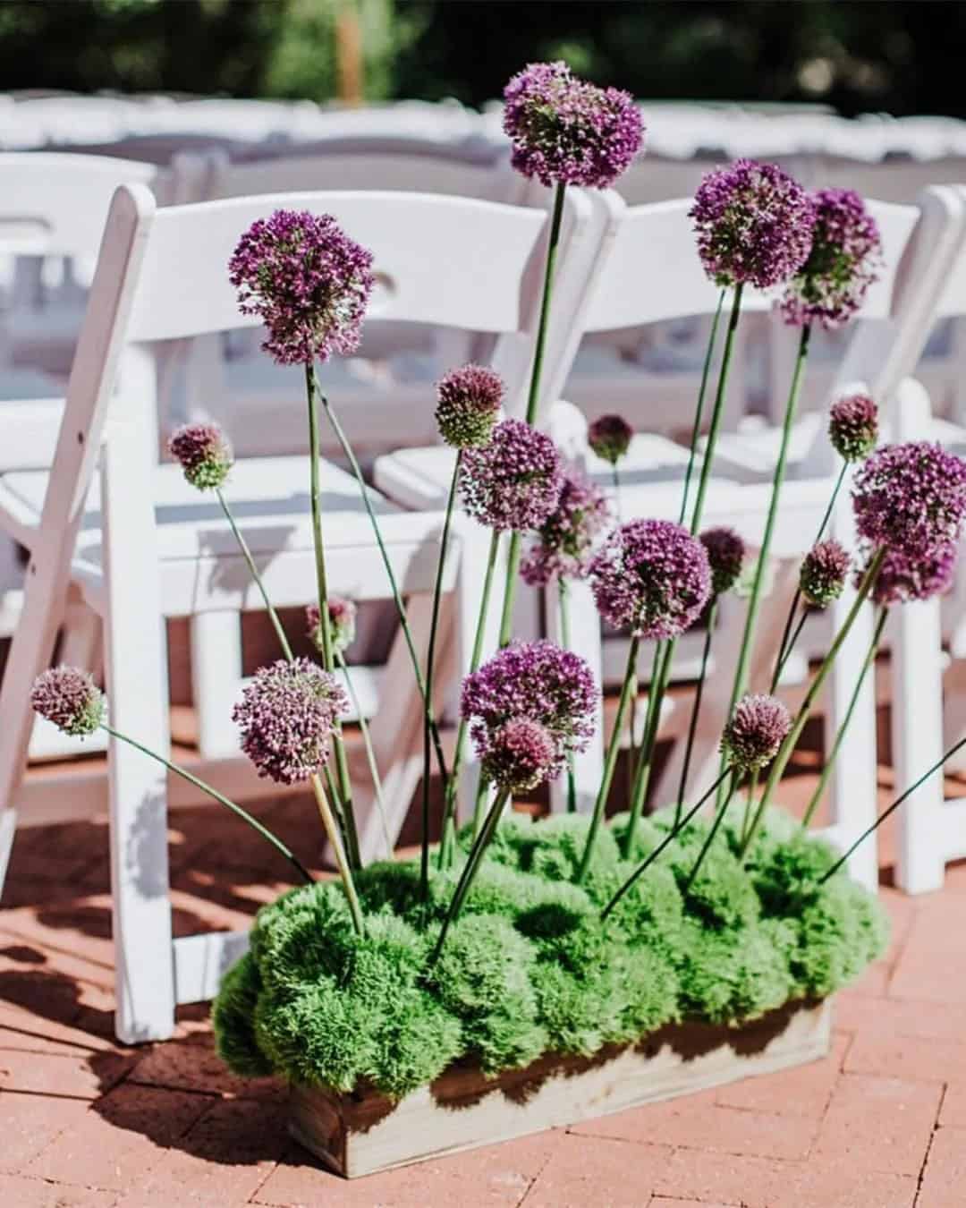 Outdoor Wedding Chair Decorations