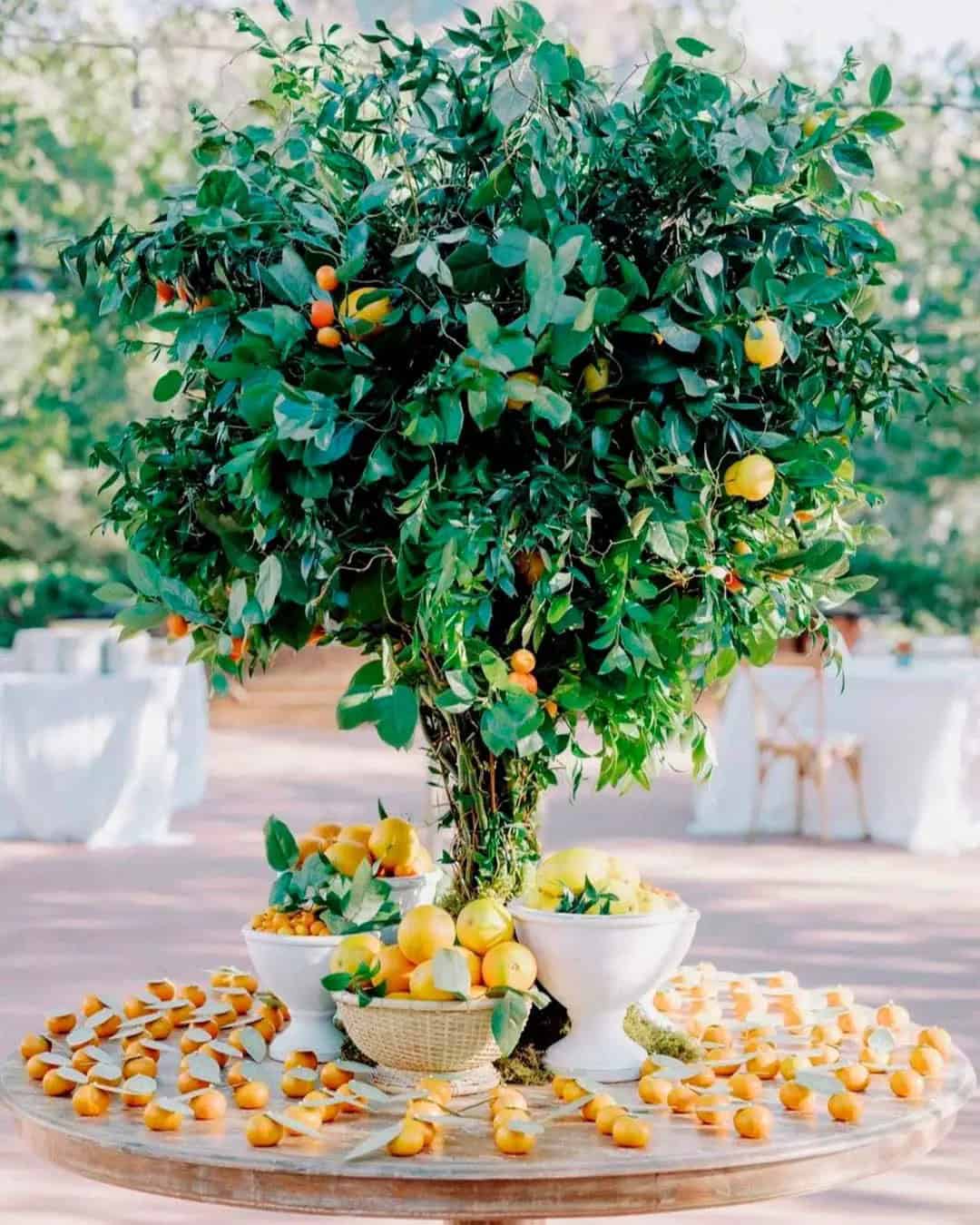 Fruits Wedding Decoration