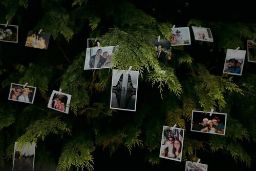 Photo tree