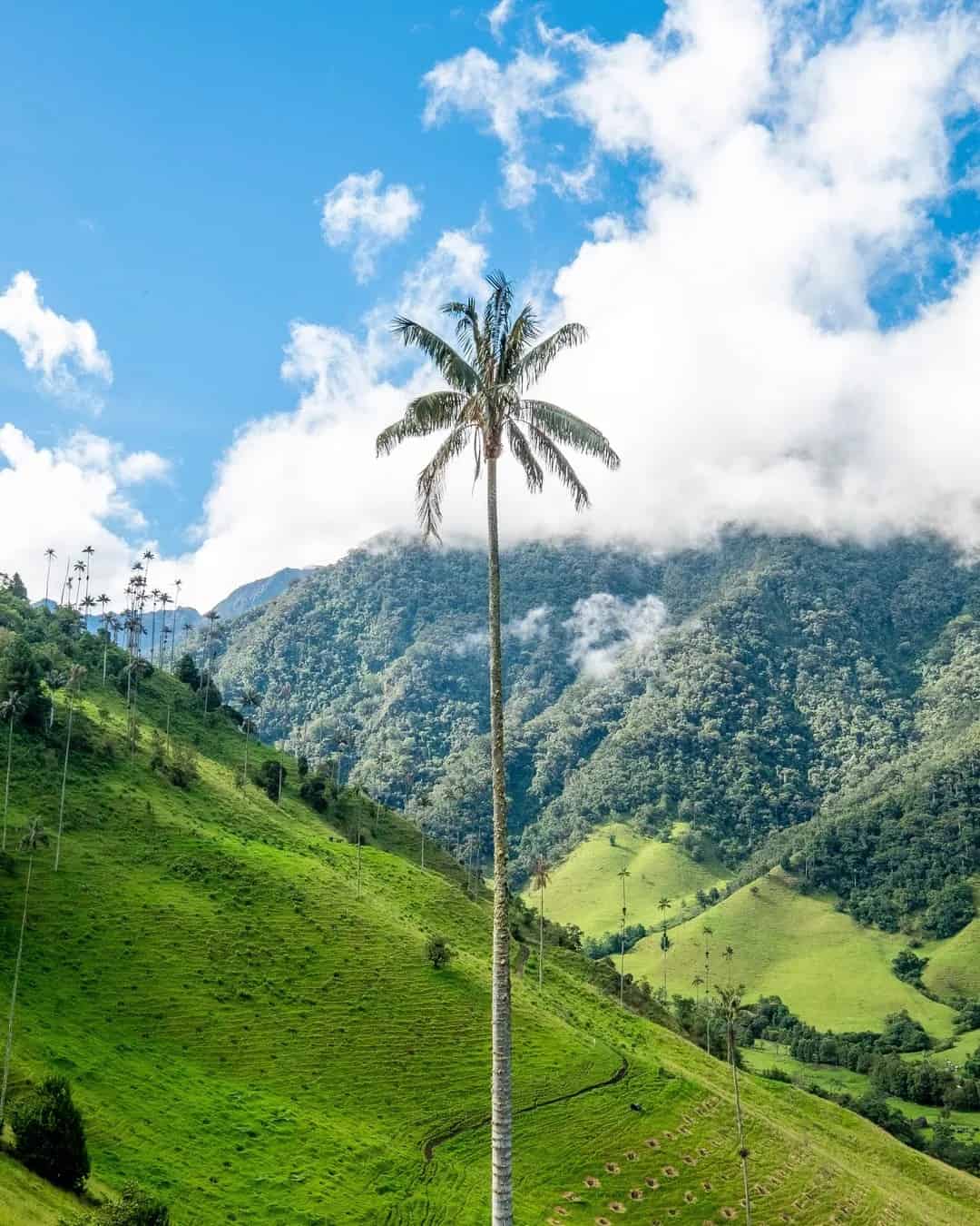 Colombia