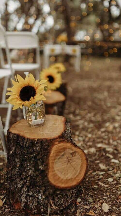 Sunflower aisle decor