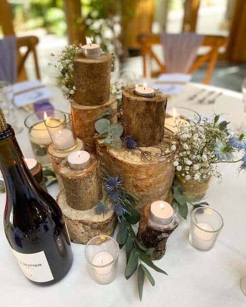 Tree stumps