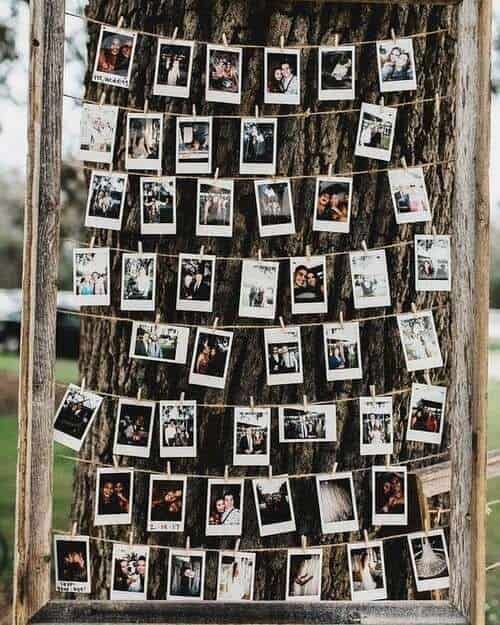 Clothesline of polaroids