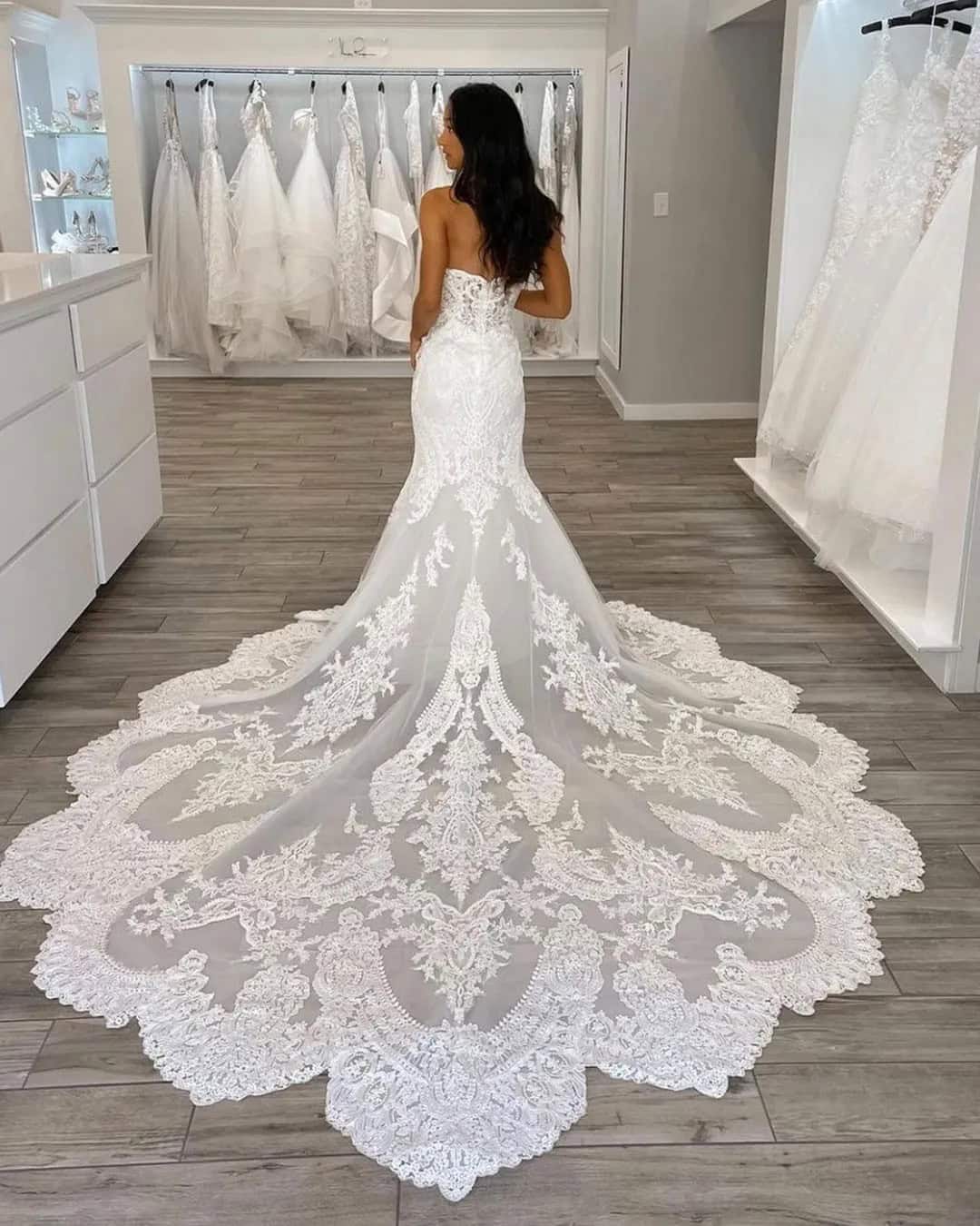 Mermaid Lace Wedding Dresses