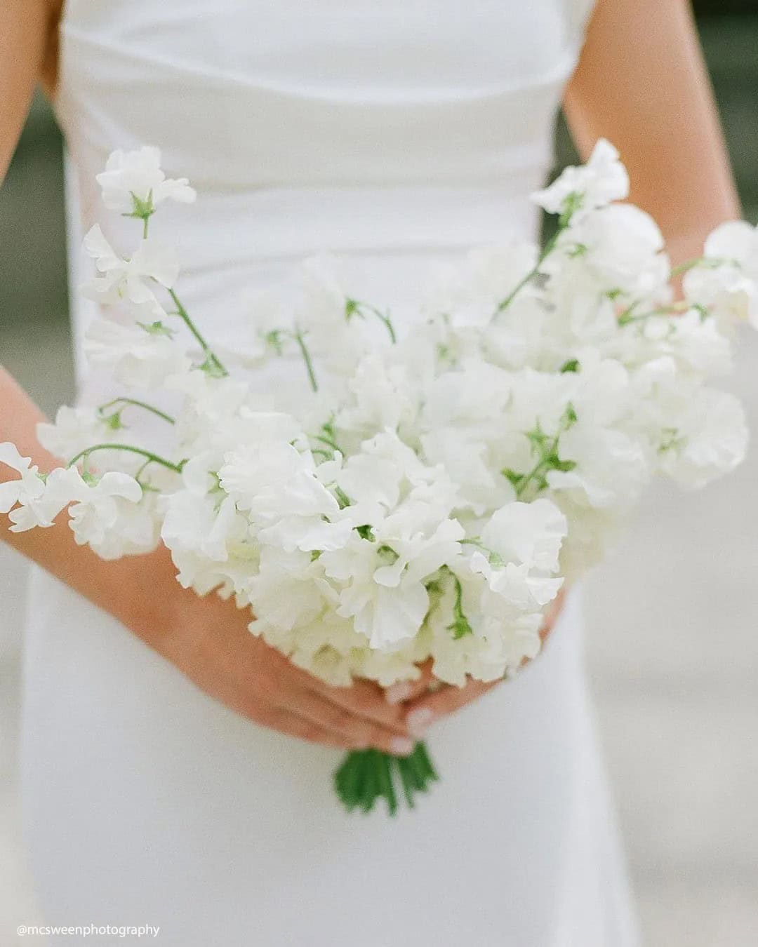 Perfect White & Crimson Bouquets