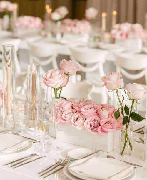 Pink roses