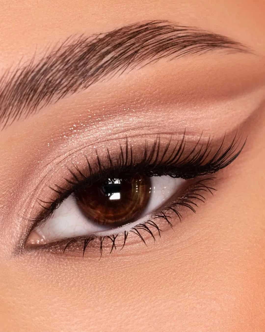 Makeup Ideas for Brown Eyes