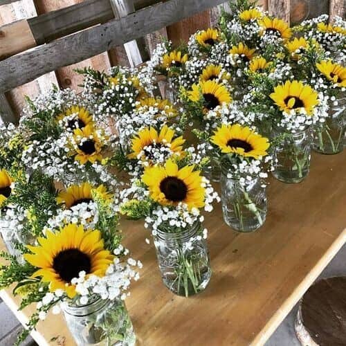 Sunflowers and baby’s breath