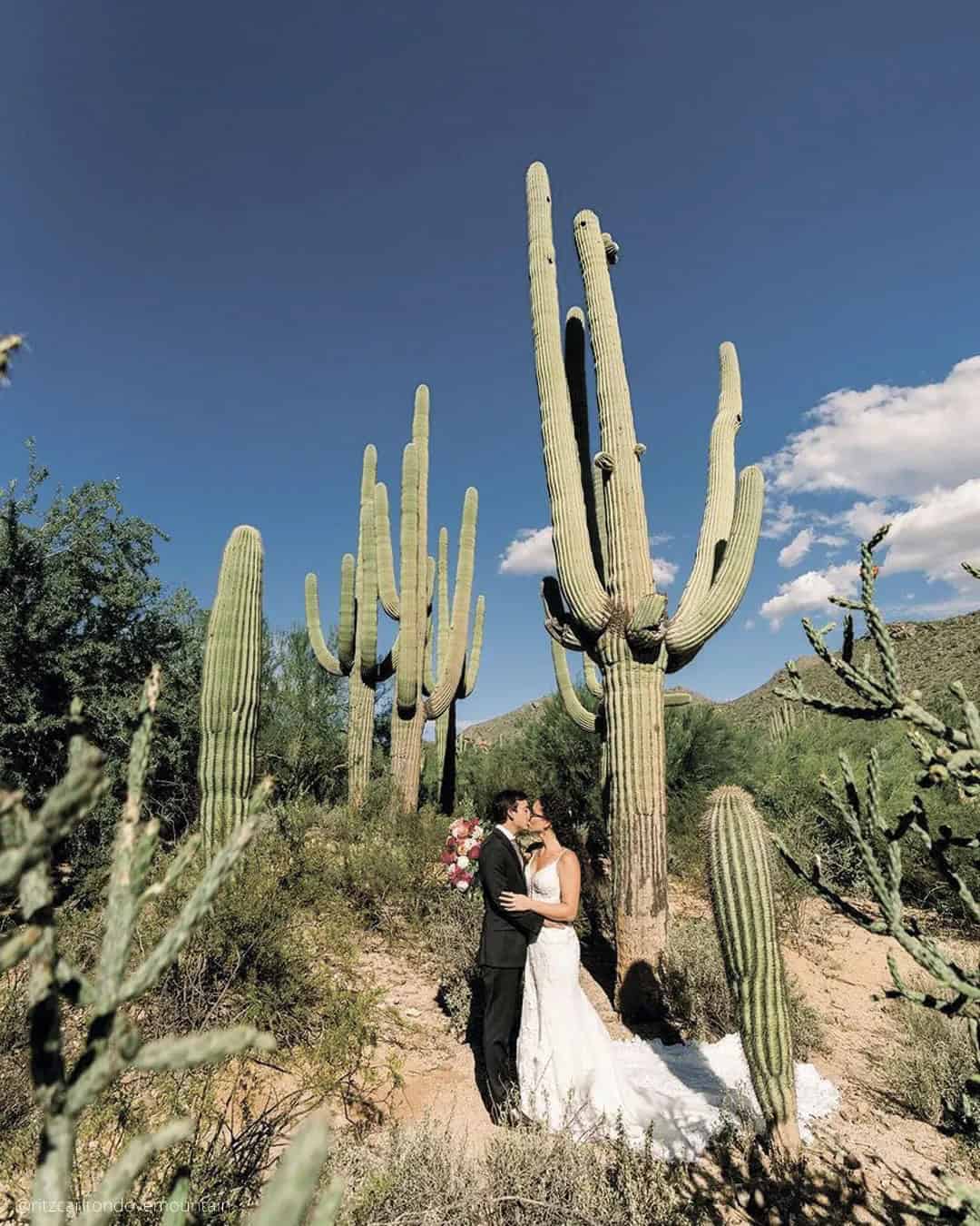 The Ritz Carlton Dove Mountain