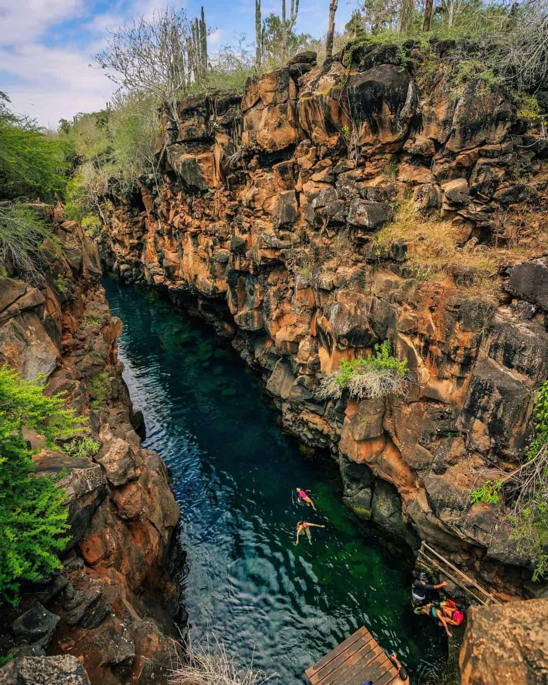 The Galapagos Islands