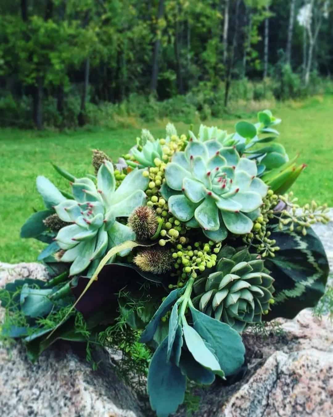 Beautiful Wedding Bouquets With Succulents