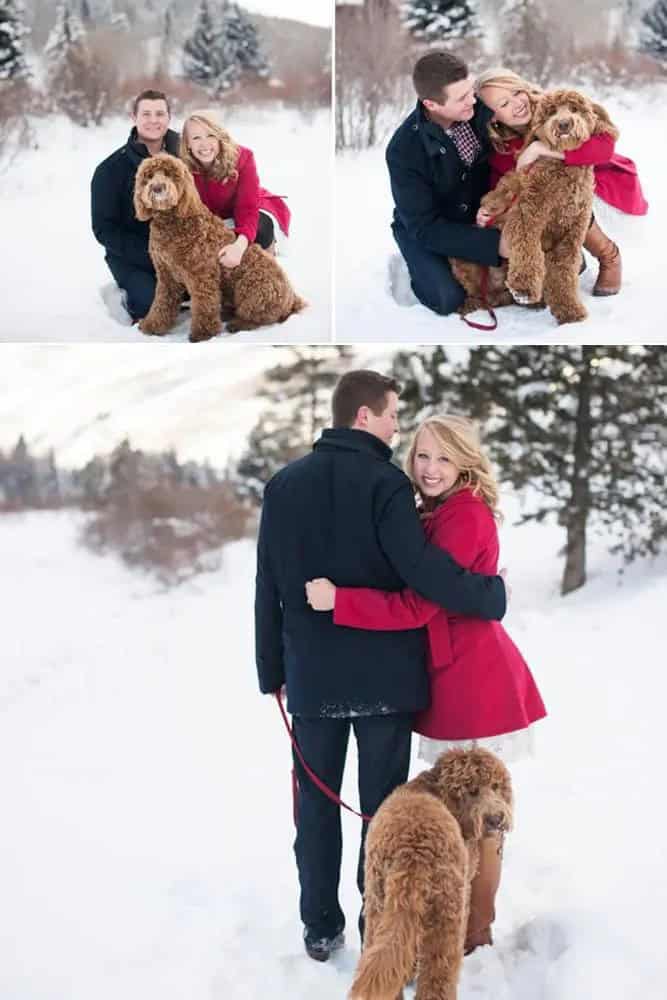 Winter Engagement Shoot With Your Dog