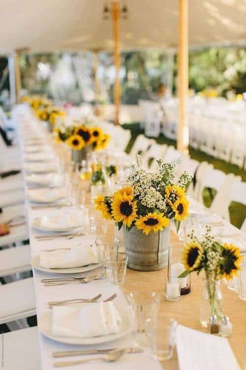 Steel cans with sunflowers