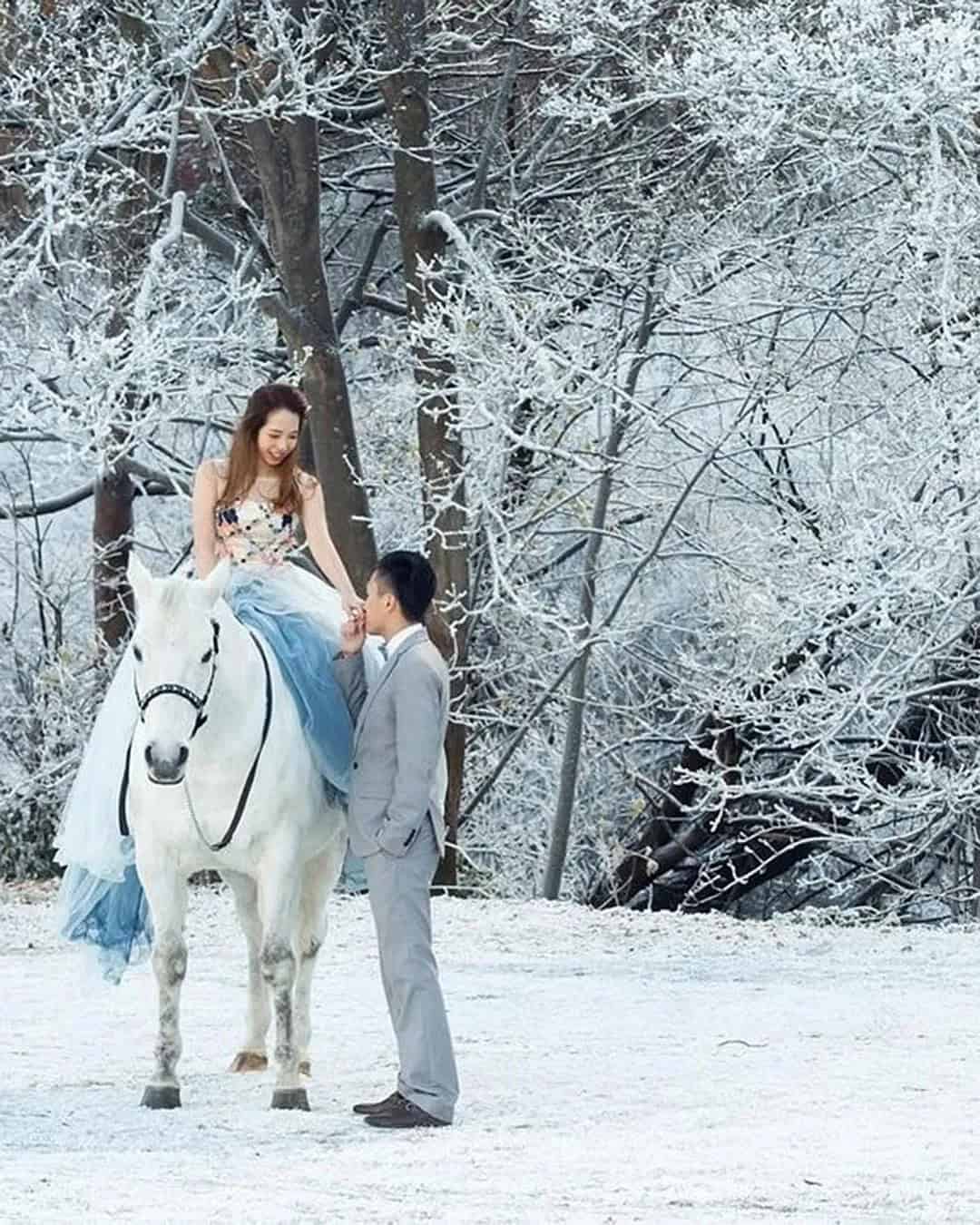 Fairytale Photos In Forest