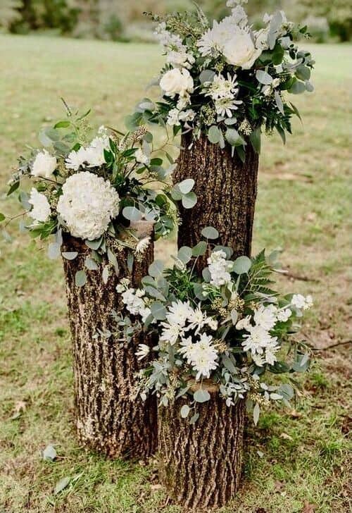 Tree stumps and white flowers