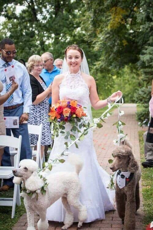 Walk Down The Aisle With Your Pets