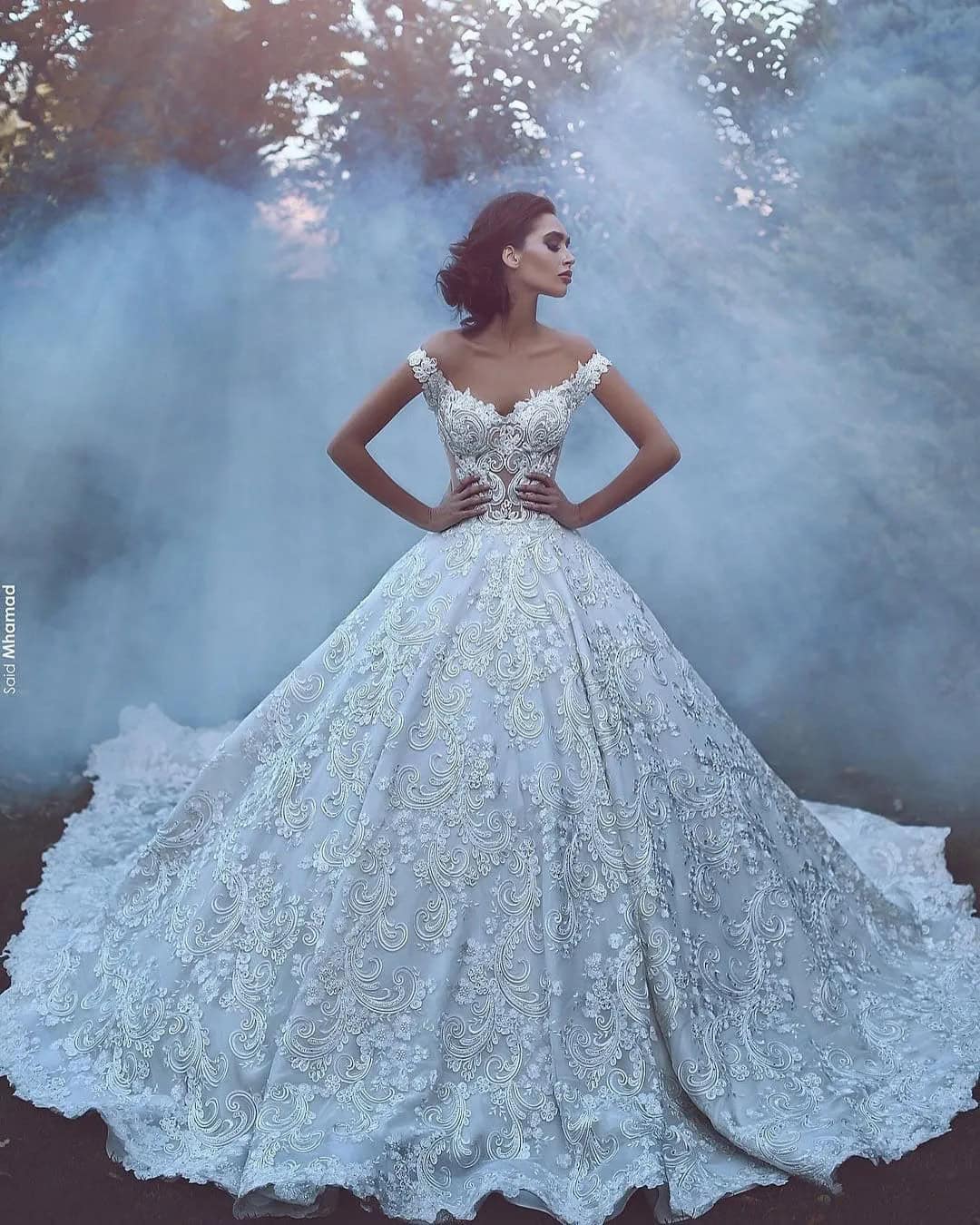 Cinderella’s Disney Wedding Dresses