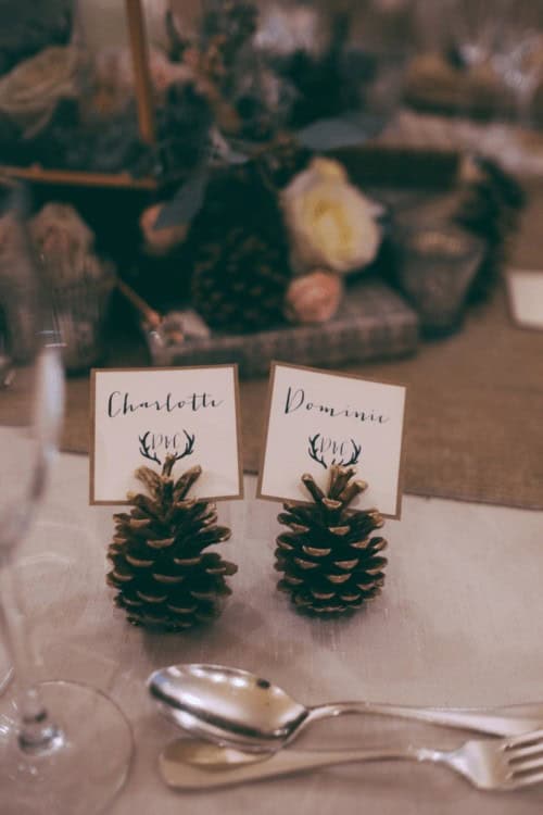 Pine cone name holders