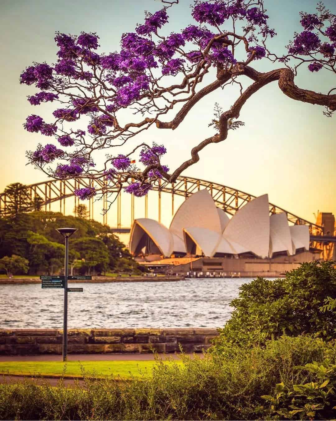 Australia