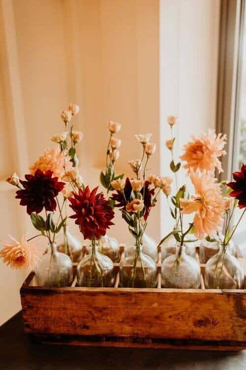 Light and dark Dahlias