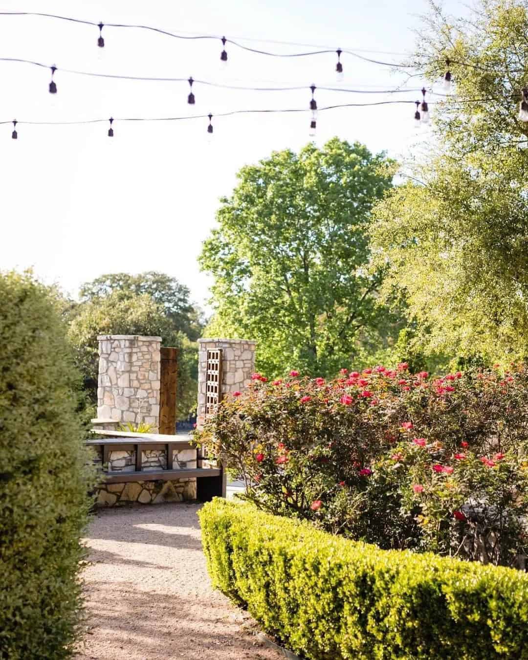 The Vineyards at Chappel Lodge