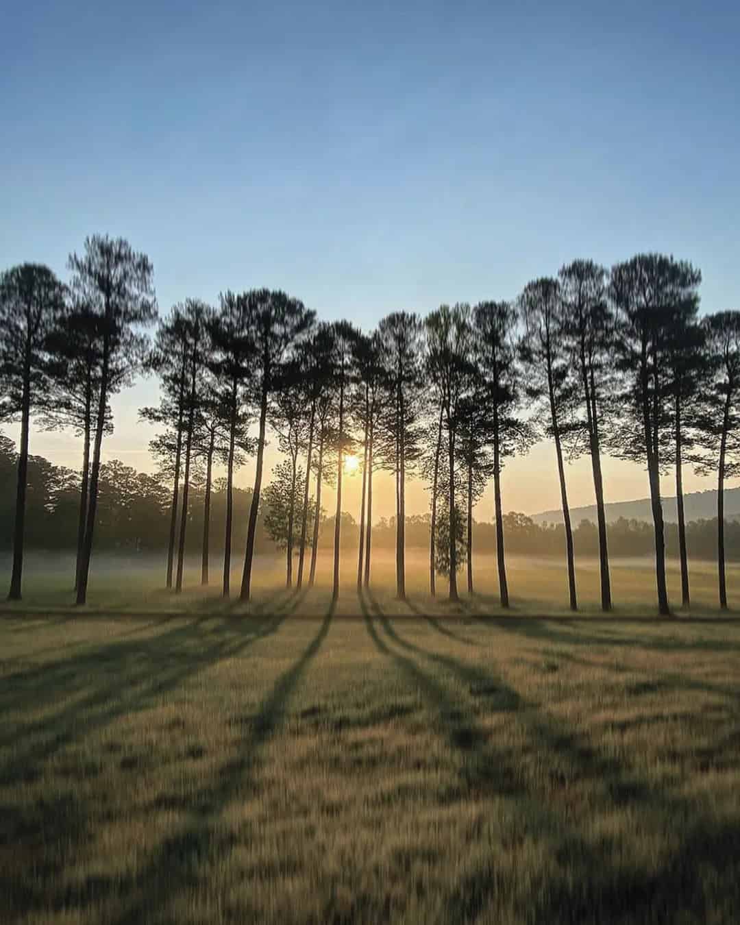 The Farm Rome GA