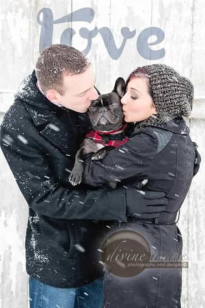 Winter Engagement Shoot With Your Dog