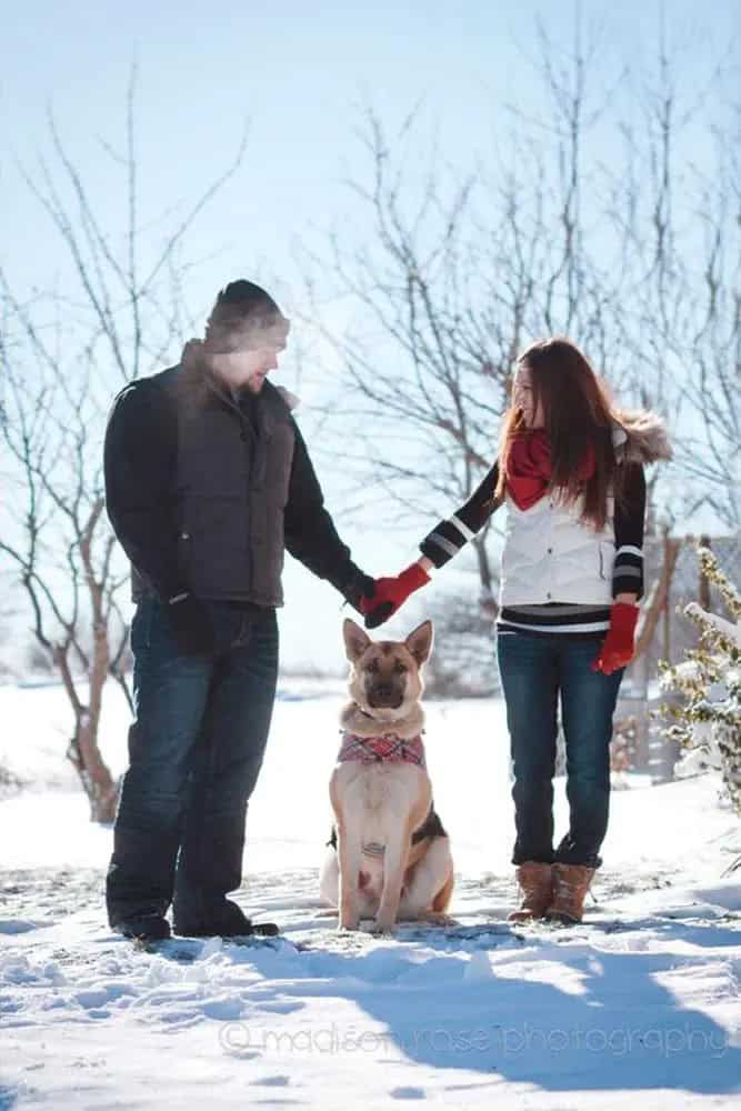 Winter Engagement Shoot With Your Dog