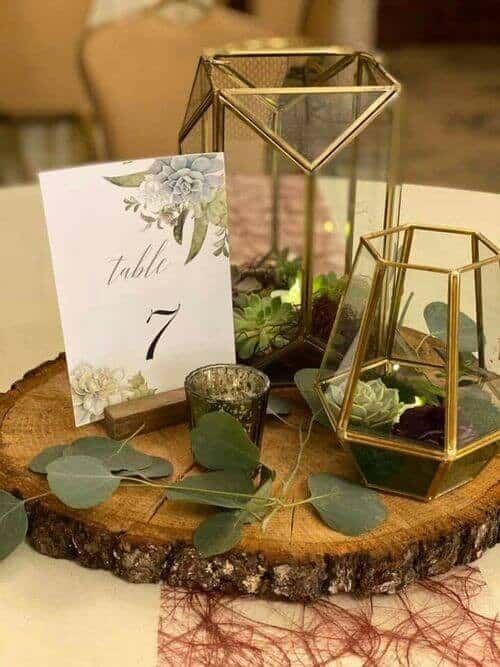 Succulent terrariums