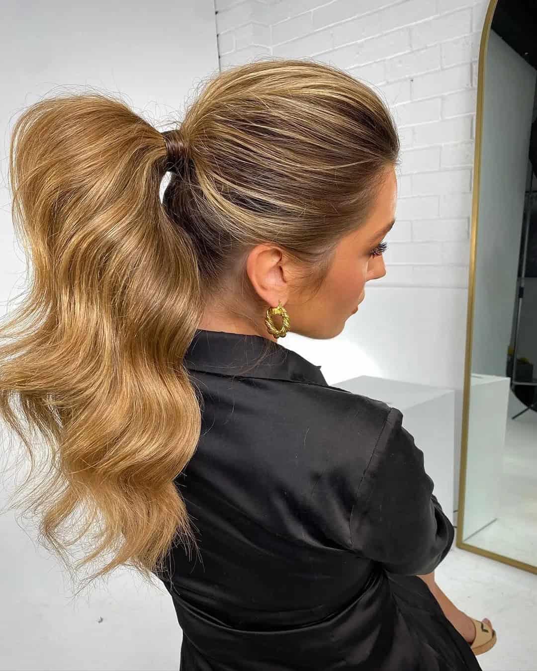 Elegant Ponytails