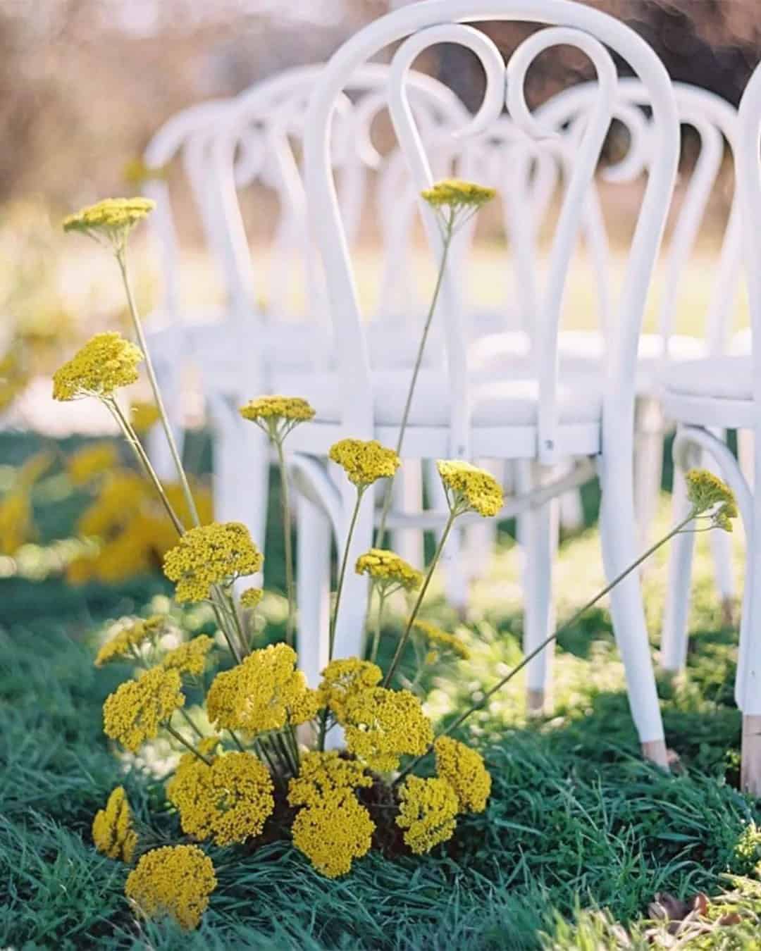 Outdoor Wedding Chair Decorations