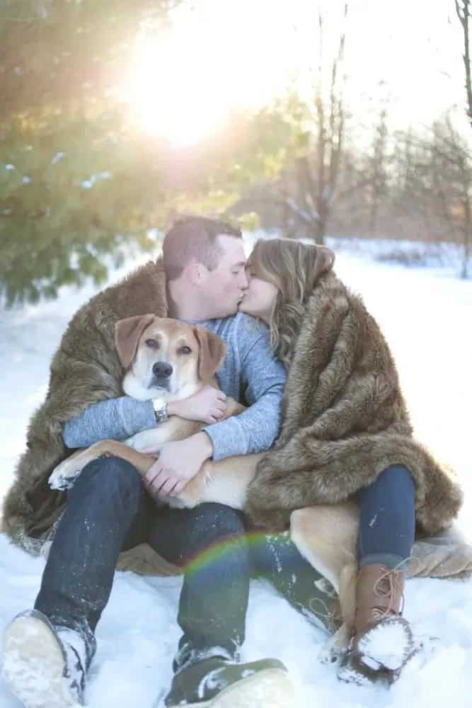 Winter Engagement Shoot With Your Dog