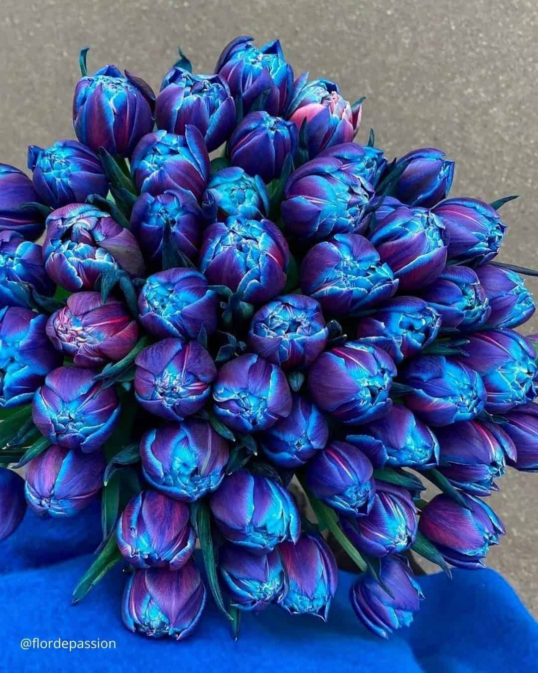 Blue And White Wedding Bouquets