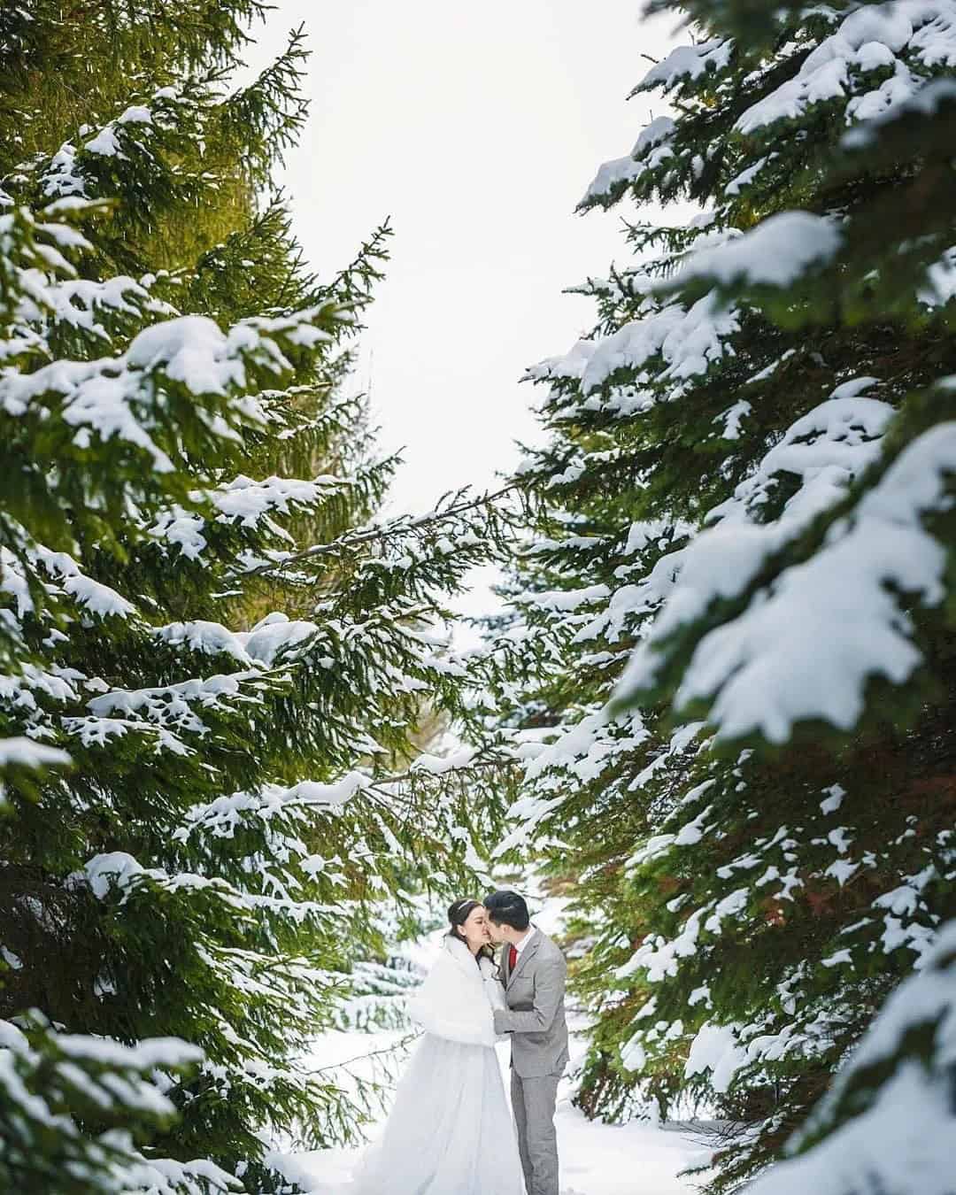 Fairytale Photos In Forest