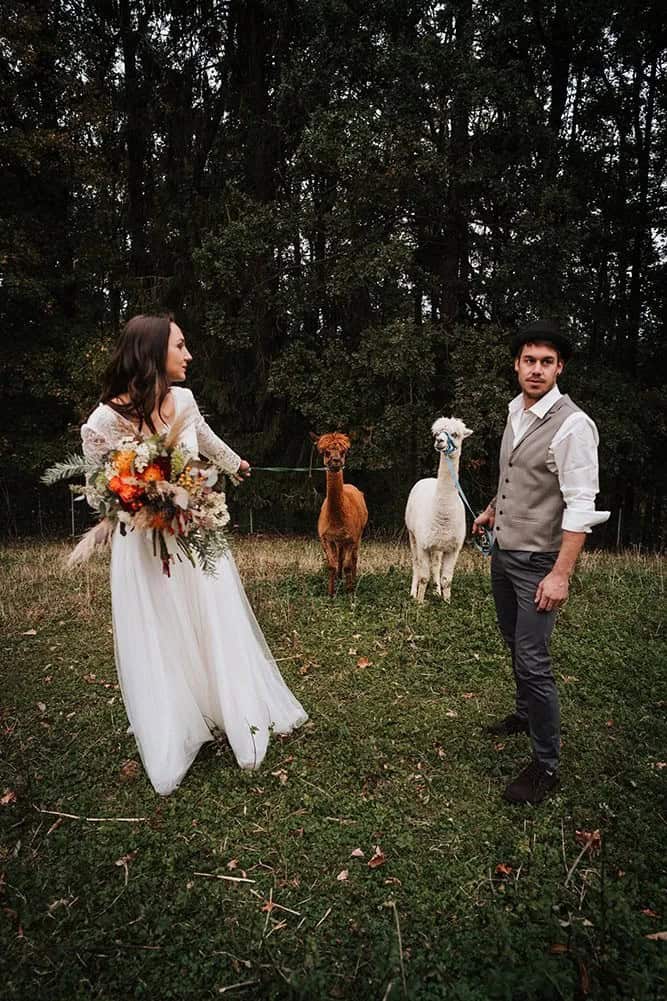 Real Big Wedding Trend: Llamas