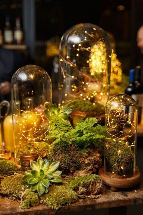 Succulents and moss centerpieces